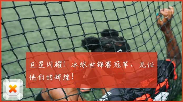 巨星闪耀！冰球世锦赛冠军，见证他们的辉煌！